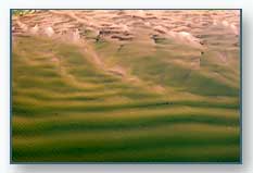 Green Bay Sandbars