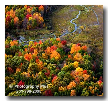 Fall Color & Wetlands