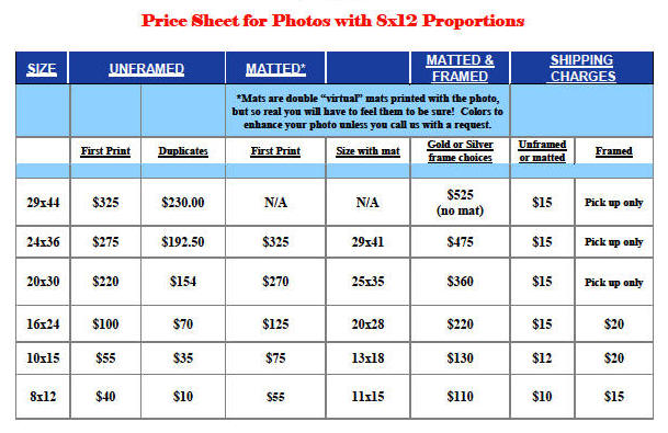 8x12 proportion prices