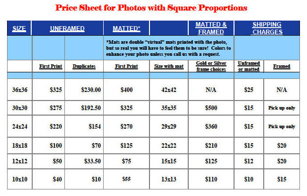 square format prices