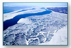 Lake Michigan Ice Floes